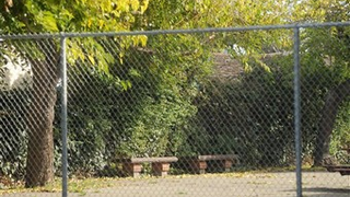 Why Did No One Stop The Richmond Gang Rape?